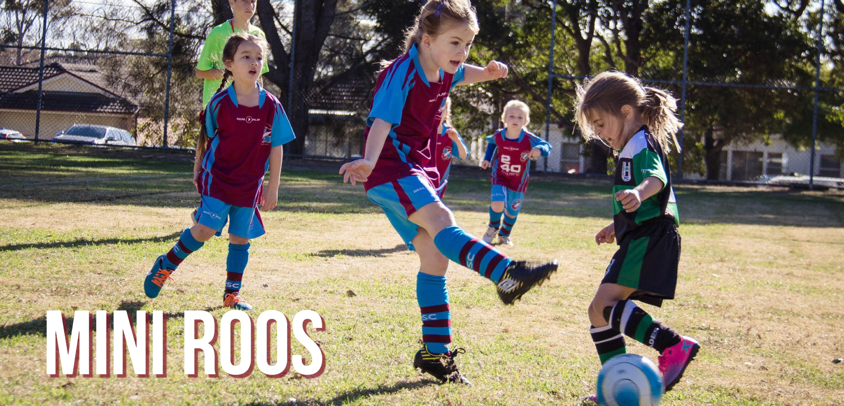 Mini Roos